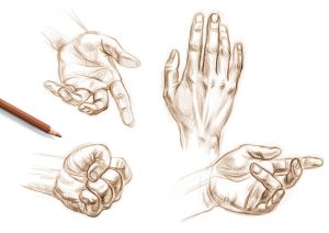 Tips for Drawing Hands